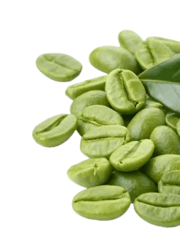 ingredient 1