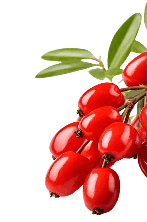 ingredient 4
